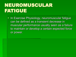 NEUROMUSCULAR FATIGUE - The University of Texas at