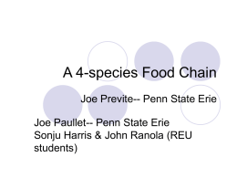 A 4-species Food Chain - Pennsylvania State University