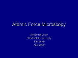 Atomic Force Microscopy - Florida State University