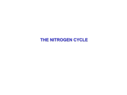 Nitrogen Cycle - Department of Atmospheric Science