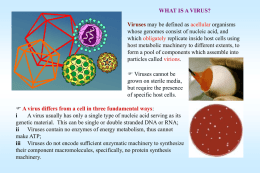 PowerPoint Presentation - Epidemiology and Prevention of