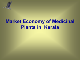 Market economy of Medicinal plants in Kerala