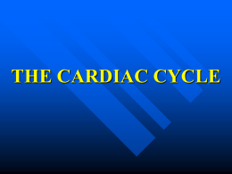 THE CARDIAC CYCLE