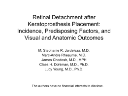 Retinal Detachment after Keratoprosthesis Placement