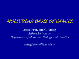 MOLECULAR BASIS OF CANCER Assoc.Prof. Işık G. Yuluğ