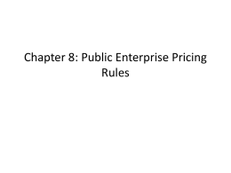 Chapter 8: Public Enterprise Pricing Rules