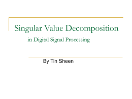 Singular Value Decomposition in Digital Signal Processing