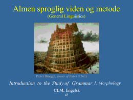Almen sproglig viden og metode (General linguistics)
