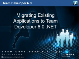 Team Developer 6.0