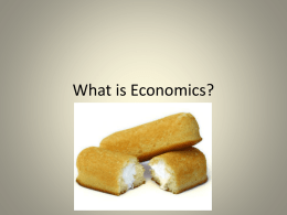 What is Economics? - Bremen High School