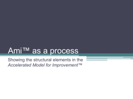 Ami as a process - Profound Knowledge Products, Inc.