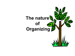 The nature of Organizing