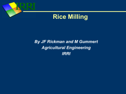 IRRI Rice milling