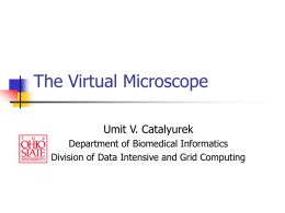 The Virtual Microscope - Biomedical Informatics
