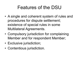 Principles of the DSU: - University of Cagliari