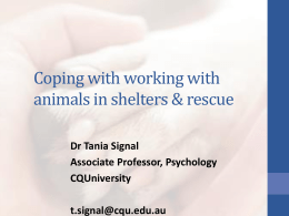Coping with working with animals in shelters & rescue