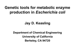 New Tools for Metabolic Engineering of Bacteria