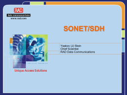 SONET /SDH - DSPCSP Pages