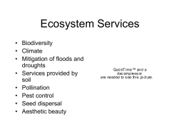 Ecosystem Services - Philosophy Department
