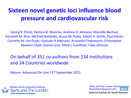 Slide 1