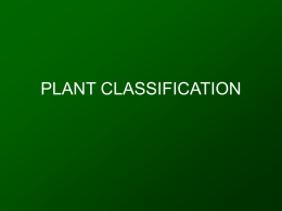 PLANT CLASSIFICATION - Mineral Area College