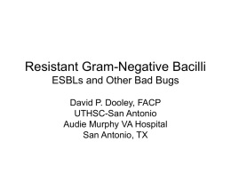 Resistant Gram-Negative Bacilli