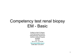 Renal biopsy Electron Microscopy Competency test