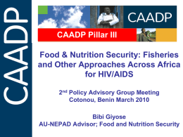 CAADP Pillar III Progress report and presentation of the FAFS