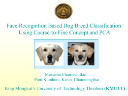Slide 1