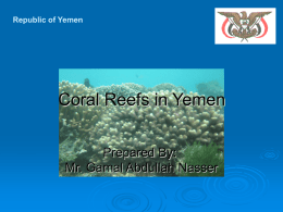 Coral Reefs in Yemen