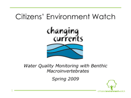 Citizens&rsquo; Environment Watch
