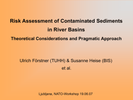 Risk Assessment of Contaminated Sediments in River