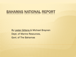 Bahamas National Report