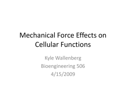 Mechanical Force Effects on Cellular Functions