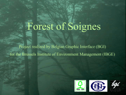 Forest of Soignes