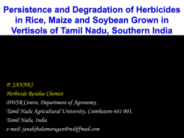 Persistence and Degradation of Herbicides in Rice, Maize