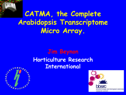 CATMA, the Complete Arabidopsis Transcript Micro Array.