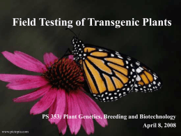 Field Testing of Transgenic Plants