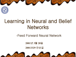 Learning in Neural and Belief Networks