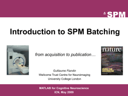 Batching SPM - Institute of Cognitive Neuroscience