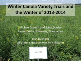 Winter Canola Variety Trials 2011 – 2012