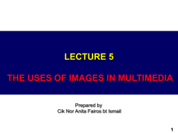 CMSHN1109 - Multimedia