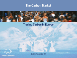 The Carbon Market - Home - IIEA