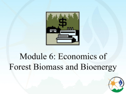 The Economics of Woody Biomass Production