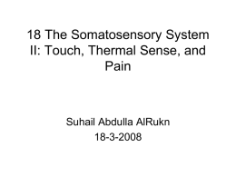 18 The Somatosensory System II: Touch, Thermal Sense, and …