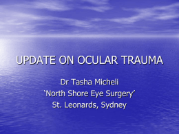 UPDATE ON OCULAR TRAUMA - This Web site coming soon