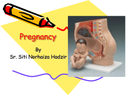 Fisiologi Kehamilan - Biomedic Generation