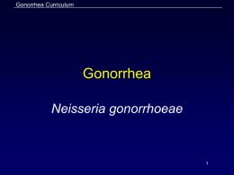Gonorrhea - Columbia College: On Campus & Online