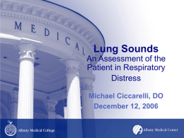 Lung Sounds An Assessment of the Patient in Respiratory