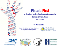 Fistula First Project Update - The End Stage Renal Disease
